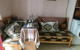 Apartment On Raisy Okipnoi 5